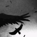 ✦Sleepy Hollow✦