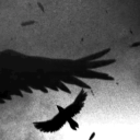 Sleepy Hollow Server Icon