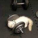 Fitness Hub Discord Server Icon