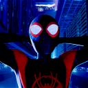 the web; spiderverse | 15+
