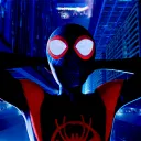 the web; spiderverse | 15+ Discord Server Icon