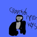 🖤CAPUCHEH MONKEYS🖤