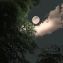 Afterlife 2nd Generation Discord Server Icon