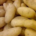 The Potato Fields Discord Server Icon