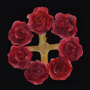 rosefolk