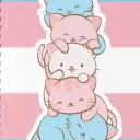 Trans haven