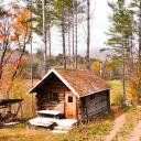 Homesteading Together