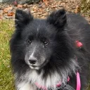 Furry Crack Den Discord Server Icon