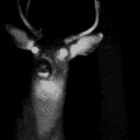 DECAY Discord server icon