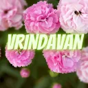 Vrindavan Shift
