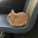 ⋅ АРХИВ СИБИРСКОГО ПАНКА ⋅