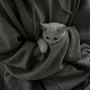 ╰﹒ 𝙄𝙭𝙧𝙖 𝙂𝙖𝙣𝙜 ﹒✧