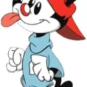 Wakko Warner gaming server