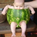 The Whimsical Watermelons 🍉 😤