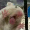 Rats Penthouse 👹's icon