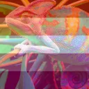 Chameleons??? Official Server