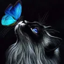 Katzen Camplager Discord Server Icon