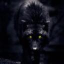 Cadged Loyalties & Grimm Fantasies Discord Server Icon