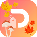 Discovery icon for Doorzo Discord server