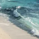 𓇼 ࣪ 𓈒 Adi’s Tropical Beach ⭒... Discord Server Icon