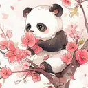 Panda Cult