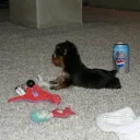 abandoned server Discord Server Icon