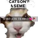 Catson's Basement