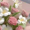 ﹒roses﹒