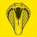 Cobra 7 squad