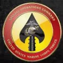 37th Special forces Division Discord server icon