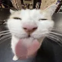 ꩜ . lamp﹗'s icon