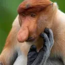 Test Discord server icon