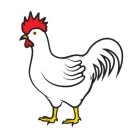 See Rooster's Home