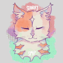 ⋆⁺₊  StarryMC  ᯓ★