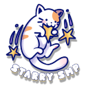 ⋆⁺₊  Starry SMP ᯓ★