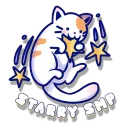 ⋆⁺₊ Starry ᯓ★