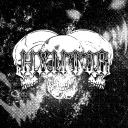 HXNT3R