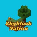 Skyblock Nation | DISBOARD: Lista de Servidores de Discord
