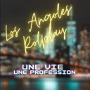 Los Angeles Rôleplay RE 974's icon