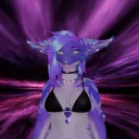 The Chaos Cove