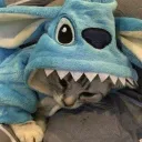 Cummunity Cat  #100
