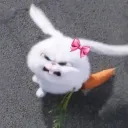 𝑯𝒂̣̂𝒖 𝑪𝒖𝒏𝒈 𝑻𝒉𝒐̉ 𝑴𝒐𝒄𝒉𝒊𝒊 🐰