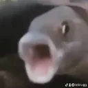 Talk to Humans (probably) Discord Server Icon