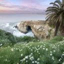 Worldbuilder's Cove