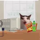 Chaos Hangout Discord Server Icon