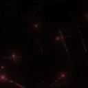 CLOSED SEEKER
