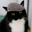 야옹회 || 夜翁會