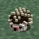 Hedgehog Hollow