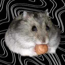 🐹хомячный уголок🐹 — мониторинг Discord сервера, статистика и рейтинг