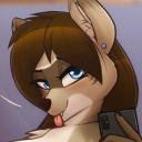 Raccoon's Hideaway Discord Server